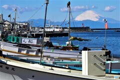 三浦散歩3(神奈川)