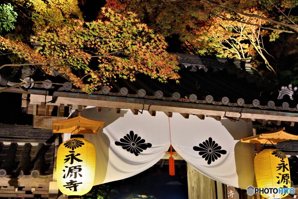 東近江散歩1(滋賀)