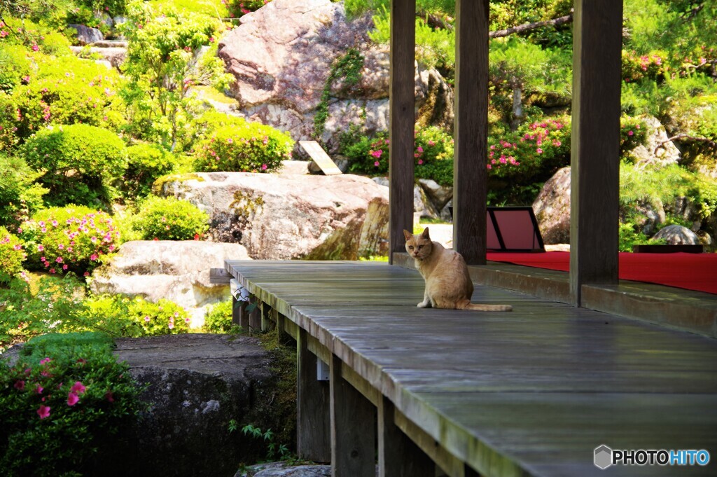東近江散歩2(滋賀)