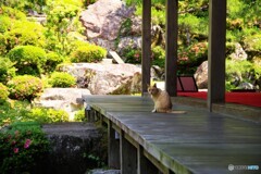 東近江散歩2(滋賀)