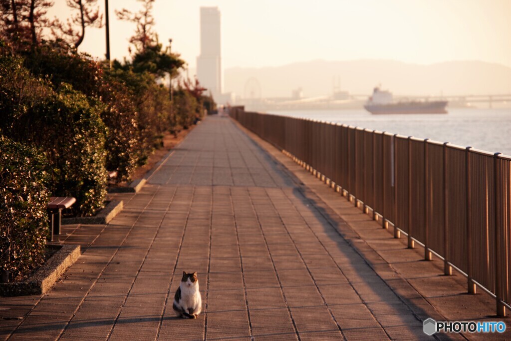 貝塚散歩3(大阪)