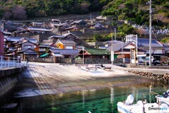 愛南町散歩2(愛媛)