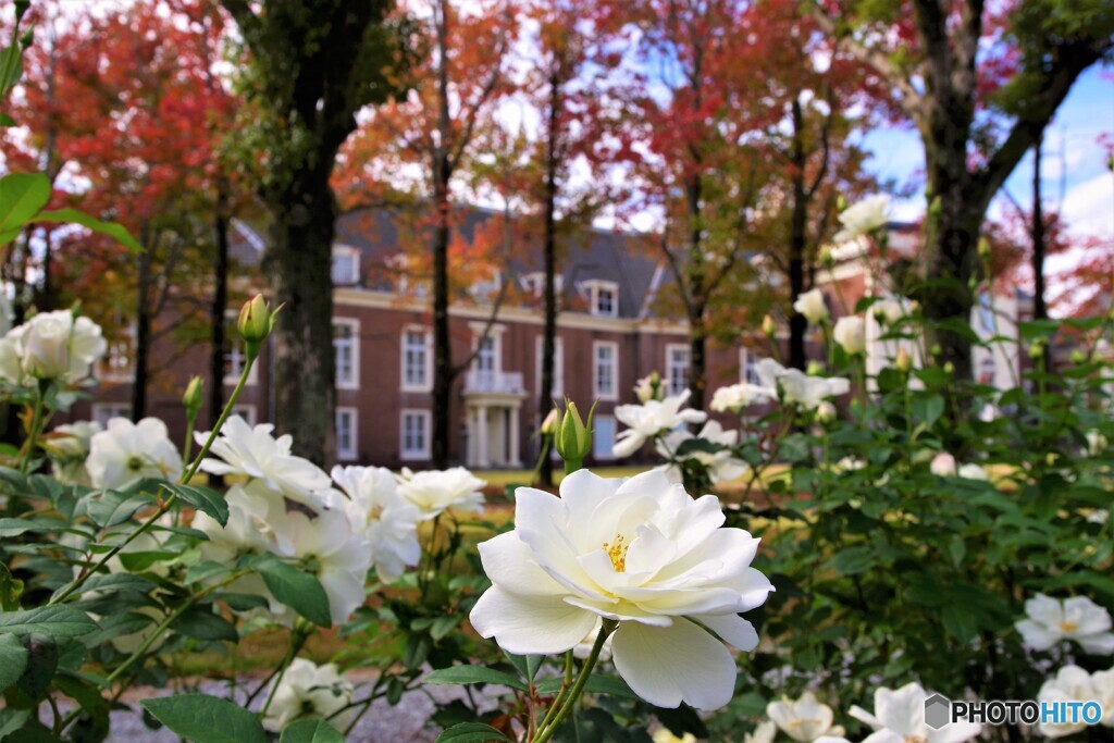 佐世保散歩4(長崎)