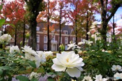 佐世保散歩4(長崎)