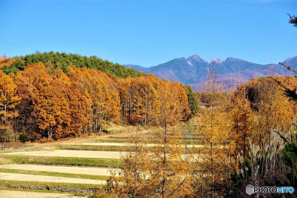 茅野散歩③(長野)