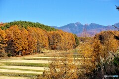 茅野散歩③(長野)