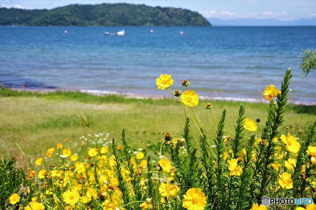 近江八幡散歩1(滋賀)