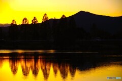守山散歩1(滋賀)