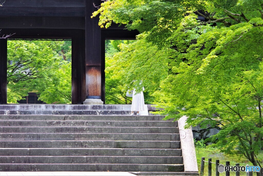 左京区散歩3(京都)