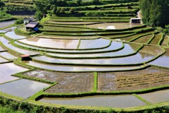 有田川町散歩2(和歌山)