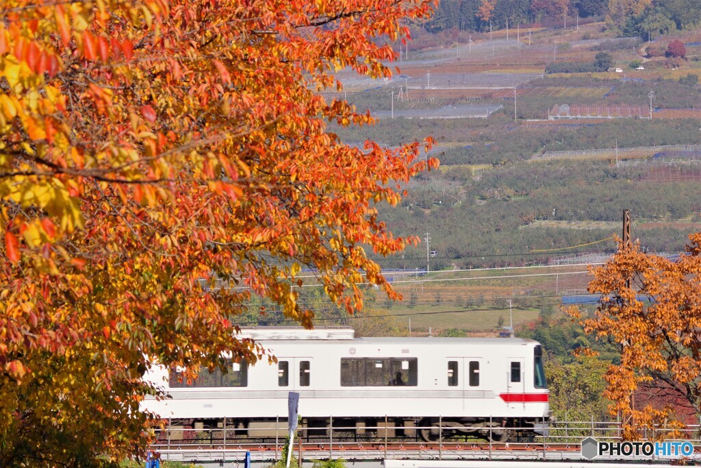 中野散歩4(長野)