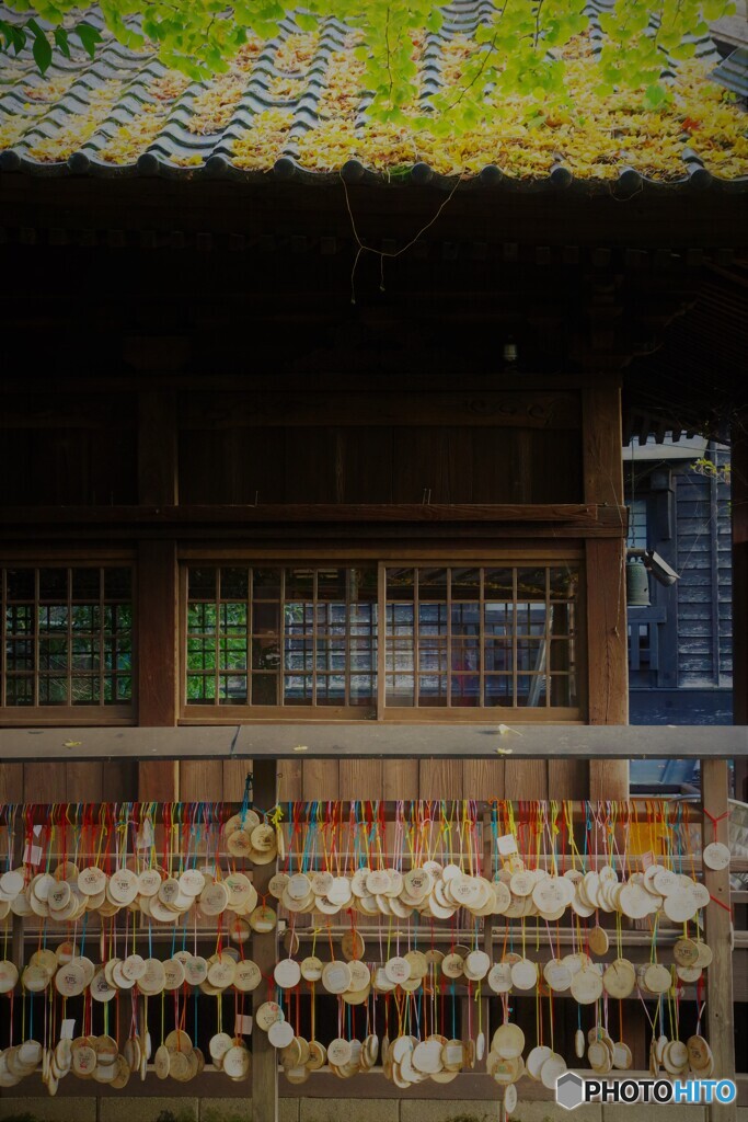 南小国町散歩1(熊本)