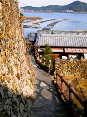 愛南町散歩1(愛媛)