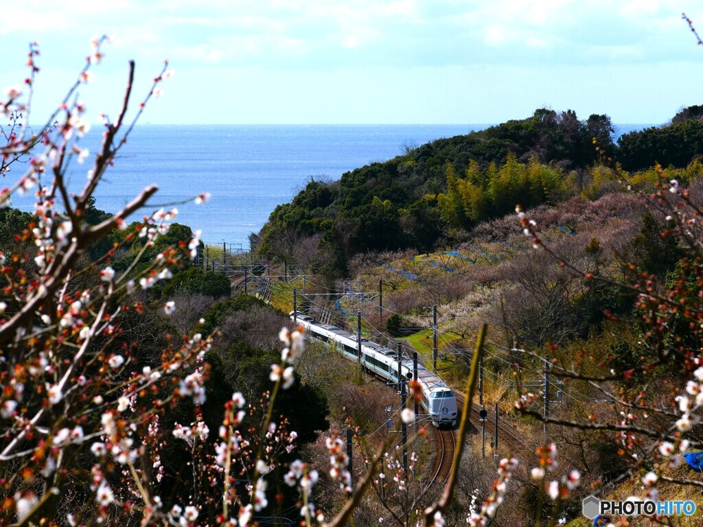 みなべ町散歩1(和歌山)