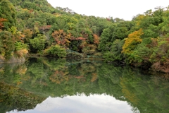 紅葉一週間早かったかな