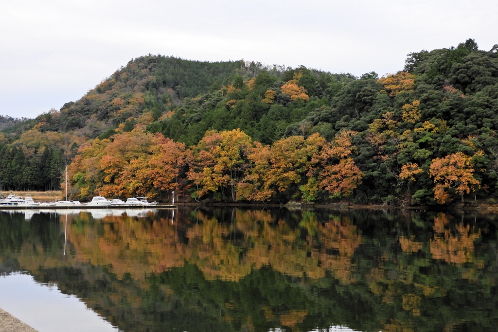 静かな海の紅葉