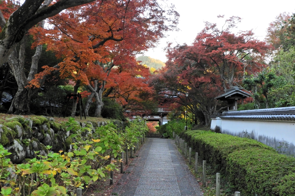 門前の風景