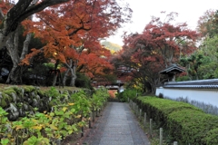門前の風景