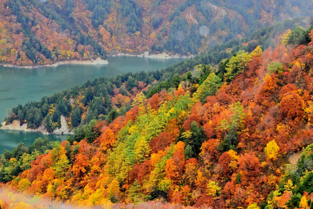 黒部の紅葉