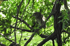 DSCN0024