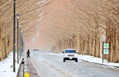 雪景色