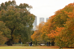 都市公園の秋
