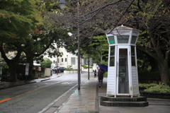 Lighthouse Lighthouse