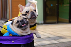 スマイルスマイル