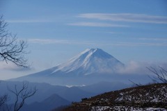 皆様、良い年をお迎えください。