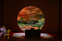 明月院　紅葉２