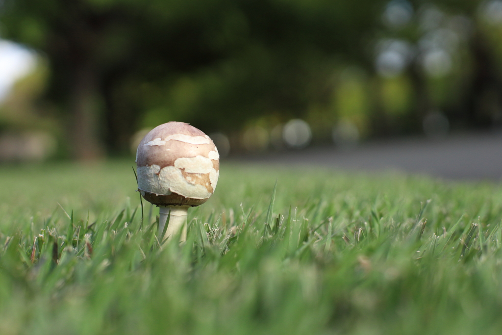 ポツンと一軒家