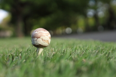 ポツンと一軒家