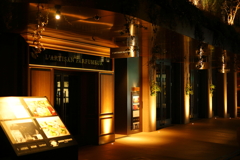 表参道スナップ