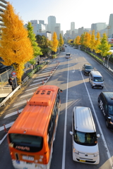 原宿ファイアーストリート