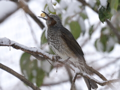 生きるためには食べないとね！