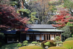 明治神宮　隔雲亭