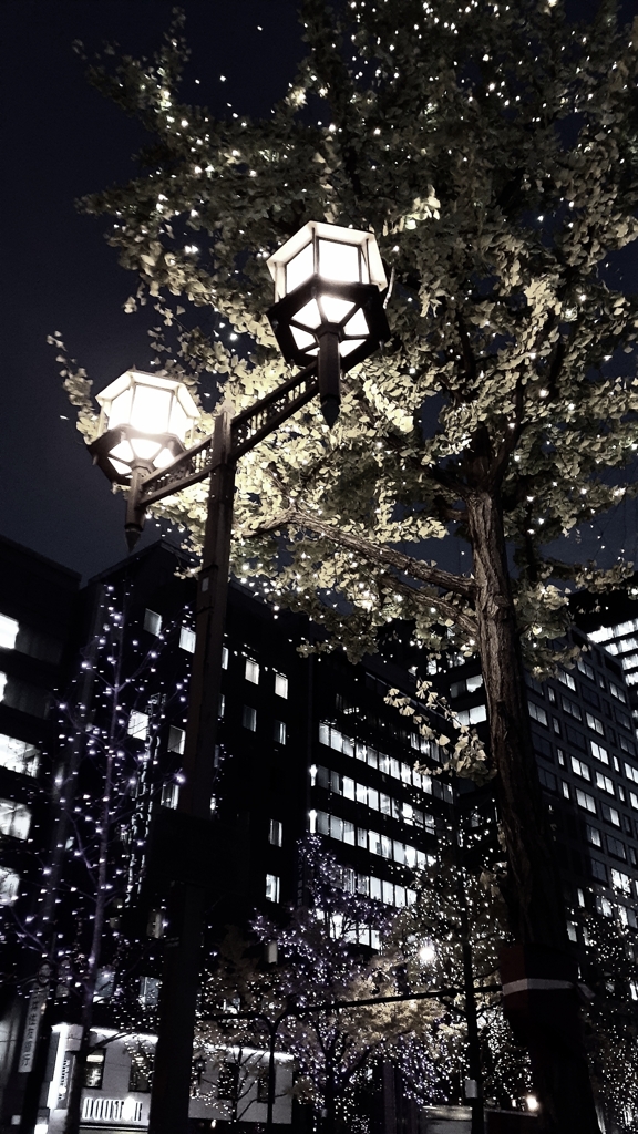 御堂筋の夜