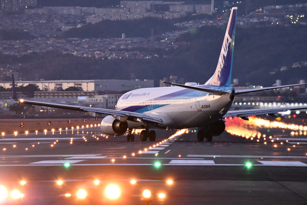 ANA737　ランウェイに照らされて