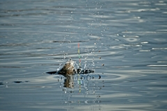 スナイパーのように