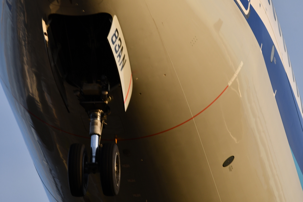 NoseGear