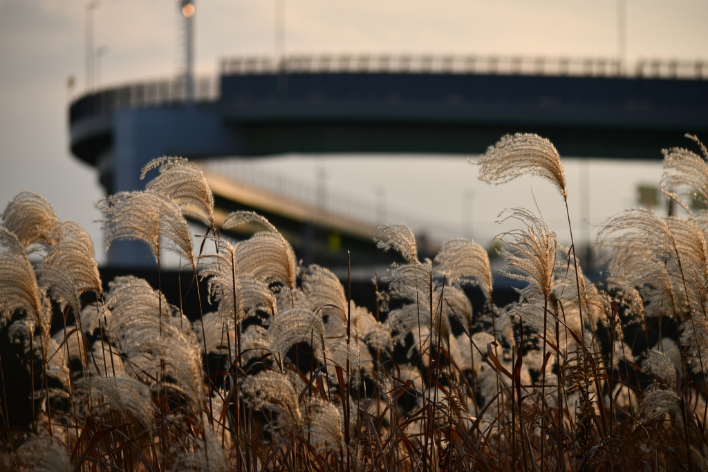 カーブとカーブ