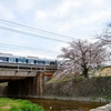 夙川公園の春景色