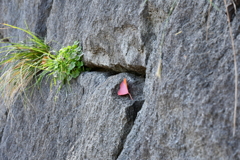 そろそろ秋も終わりかな