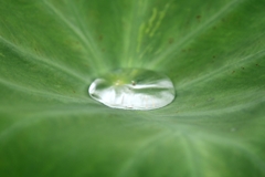 大雨の翌日…