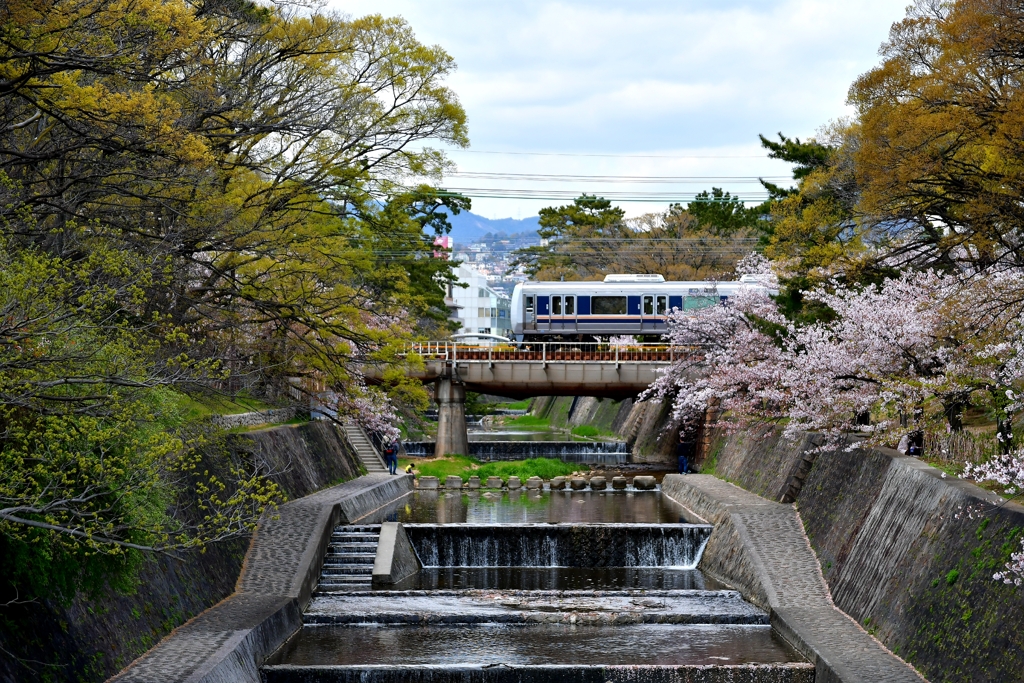 さくら夙川