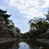 さくら夙川④