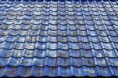 青い屋根