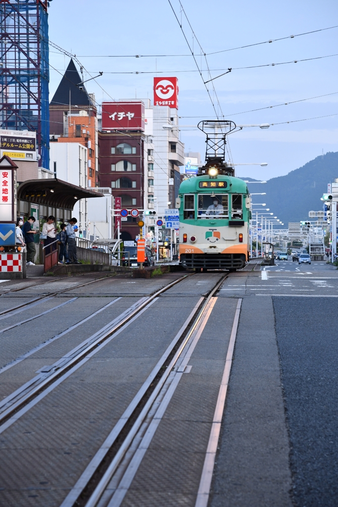 高知の街を走る