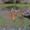 前ピョン