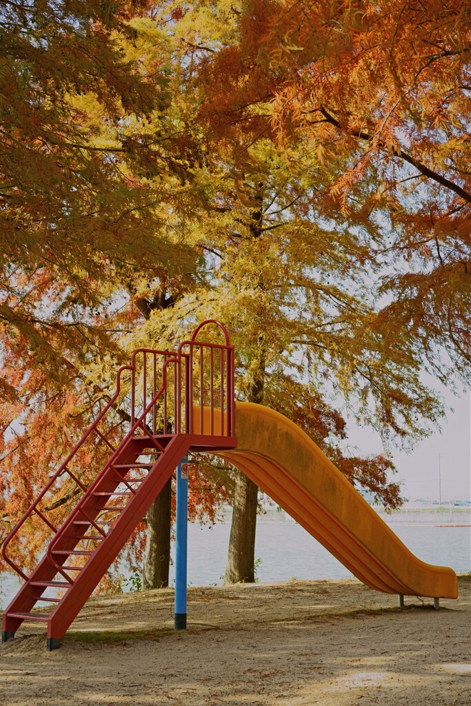 秋の公園